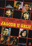 Click image for larger version

Name:	Jagode-u-Grlu.jpg
Views:	1
Size:	9.4 KB
ID:	37150