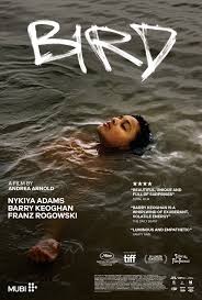 Click image for larger version

Name:	Bird.jpg
Views:	2949
Size:	18.2 KB
ID:	52043