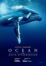 Click image for larger version

Name:	Ocean with David Attenborough.jpg
Views:	21995
Size:	12.6 KB
ID:	52706